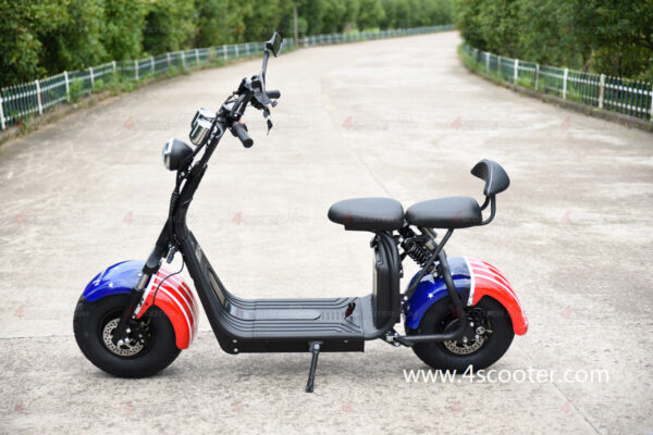 Big Wheel 1500W City CoCo Electric Scooter (11)