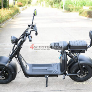 Big Wheel 1500W City Golf Rack On CoCo Electric Scooter (1)