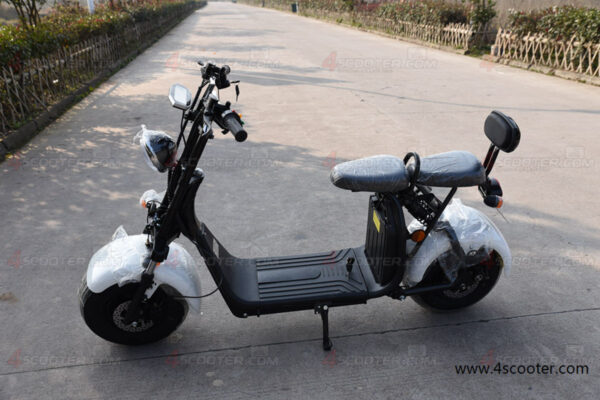 Big Wheel 1500W City Golf Rack On CoCo Electric Scooter (10)