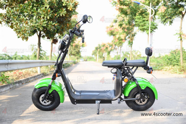 Big Wheel 1500W City Golf Rack On CoCo Electric Scooter (6)