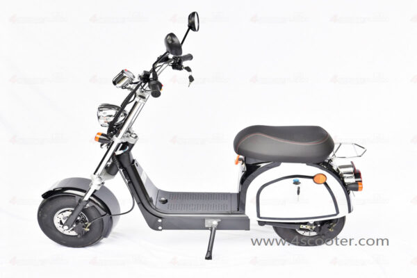 China Electric Scooter Factory Best Selling Citycoco (2)