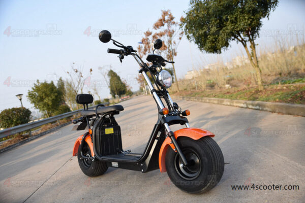 CoCo Electric Scooter (6)