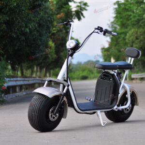 Big Wheel 1500W City CoCo Electric Scooter With EEC (1)